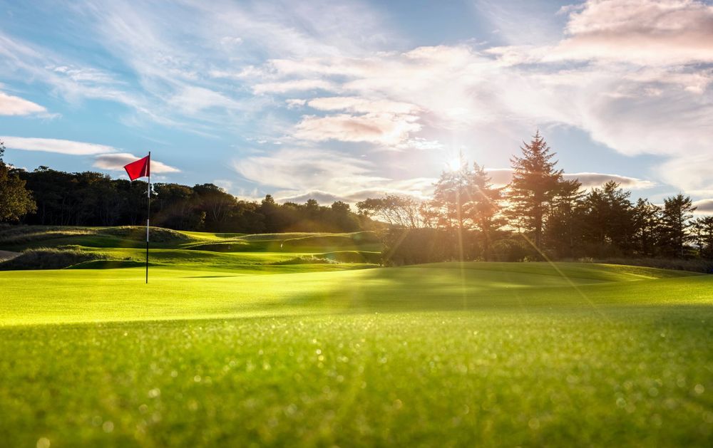 footgolf OnlyFans profile picture