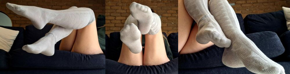 these.lil.piggies OnlyFans profile picture