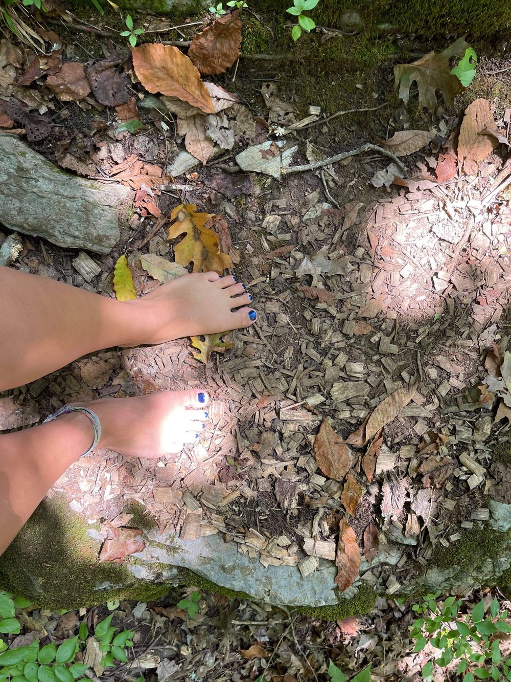 lilythwinchester OnlyFans profile picture