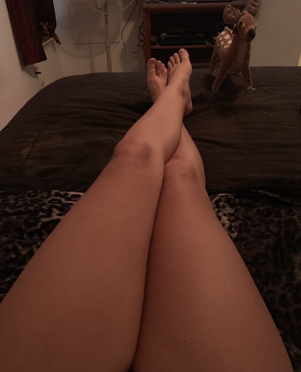 legsfdz OnlyFans profile picture