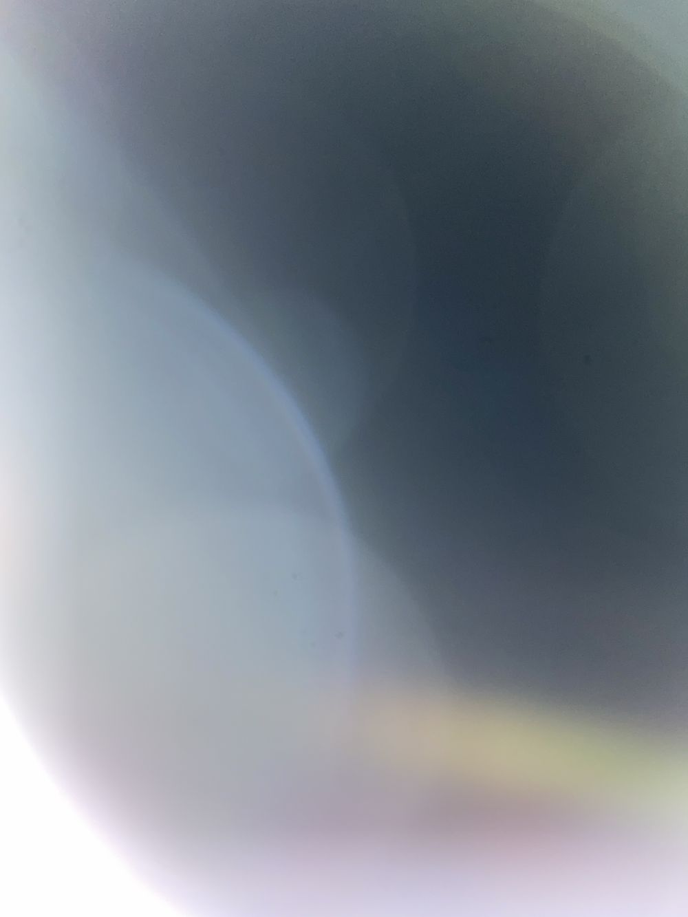 njarrazola OnlyFans profile picture