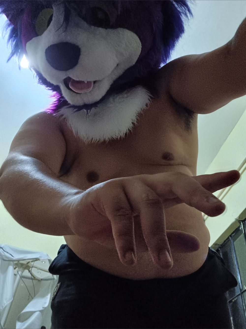 dissociateddog OnlyFans profile picture