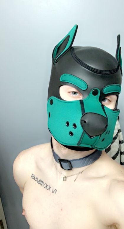 pupjinx OnlyFans picture