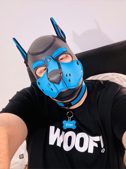 finn_pup OnlyFans picture