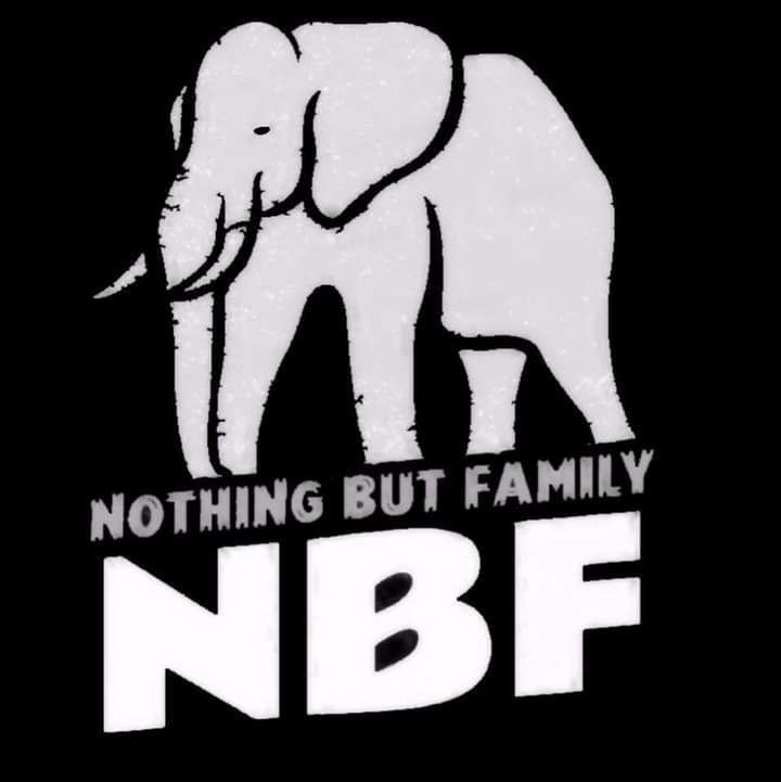 nothingbutflicks OnlyFans profile picture