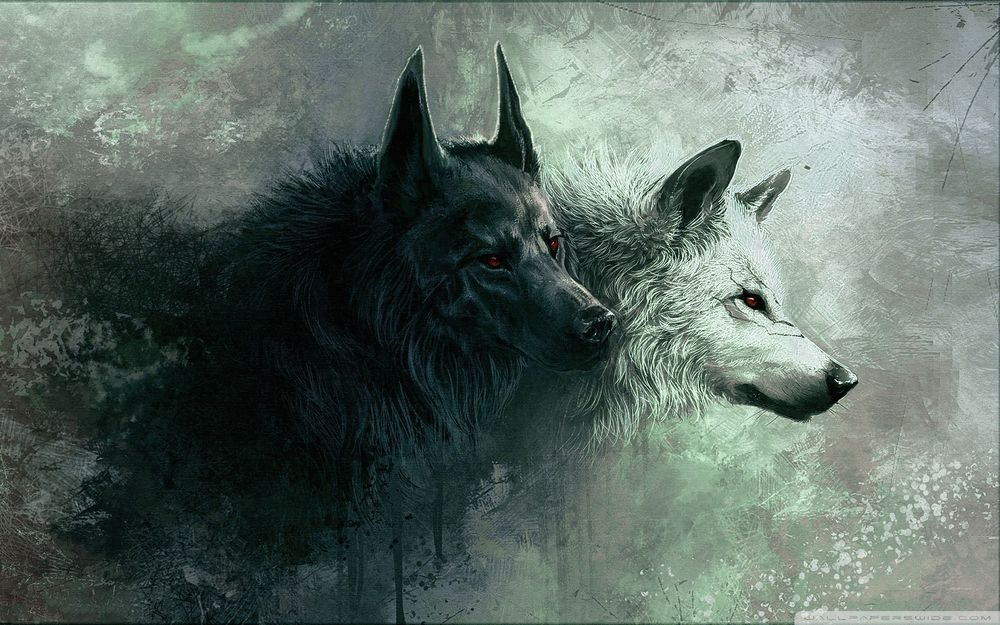 thedarkwolf666 OnlyFans profile picture
