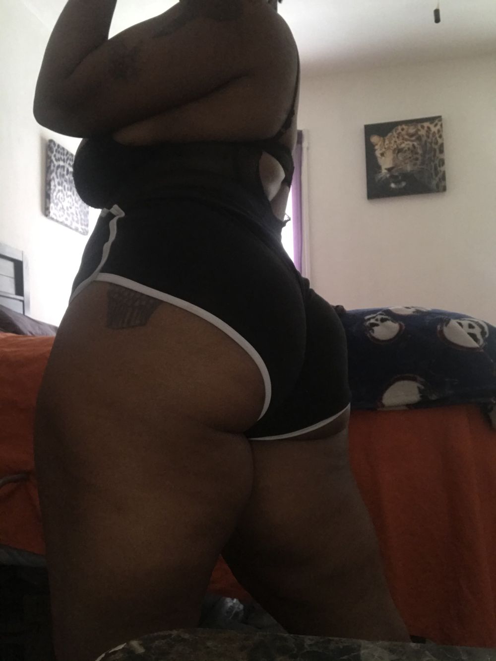 phatkattokyo OnlyFans profile picture