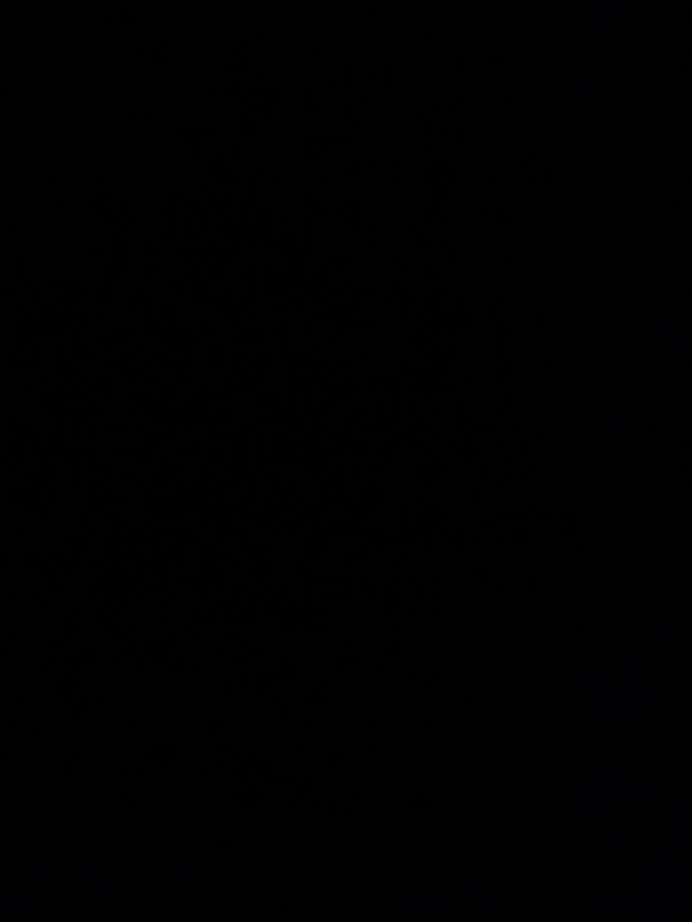 dumbestblonde OnlyFans profile picture