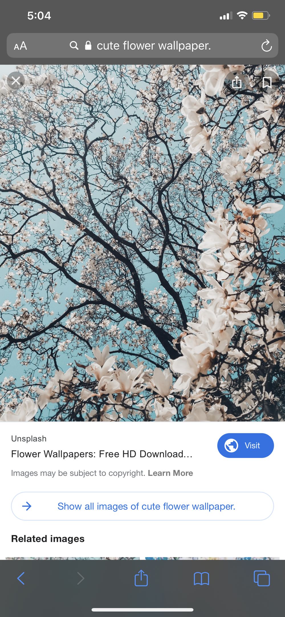 prettypurp OnlyFans profile picture
