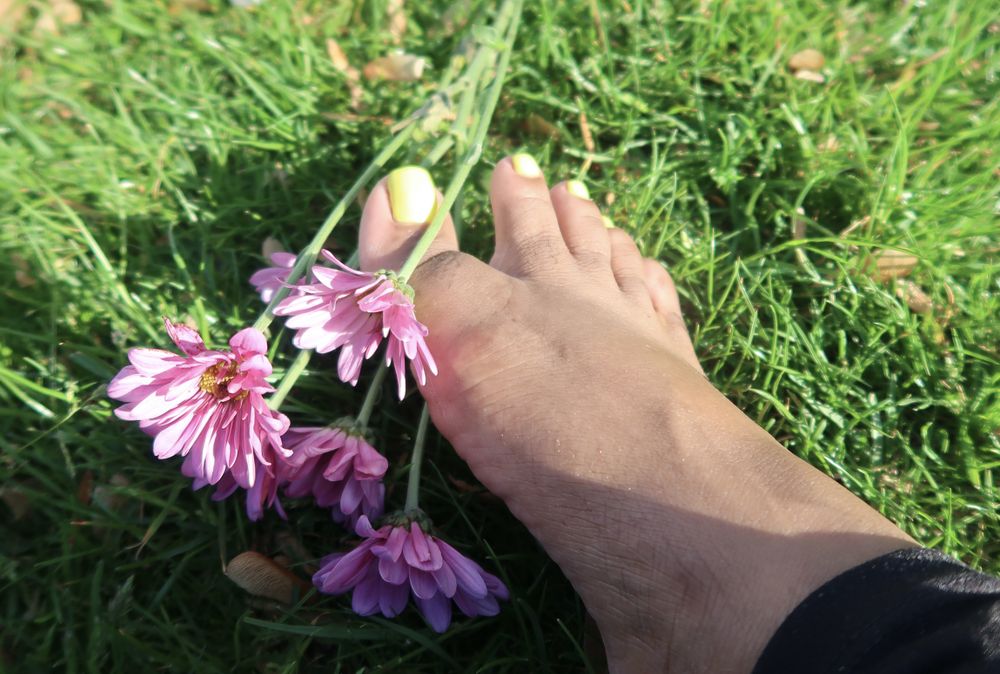ffantasticfeet OnlyFans profile picture