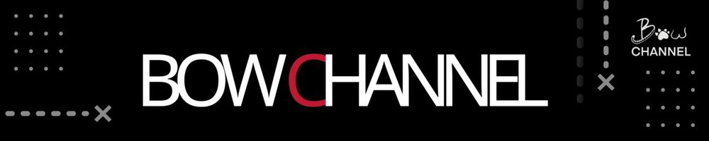 bowchannel OnlyFans profile picture