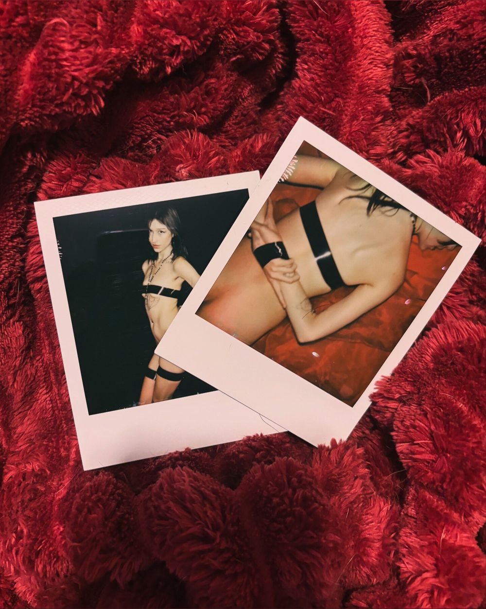wheninrome113 OnlyFans profile picture