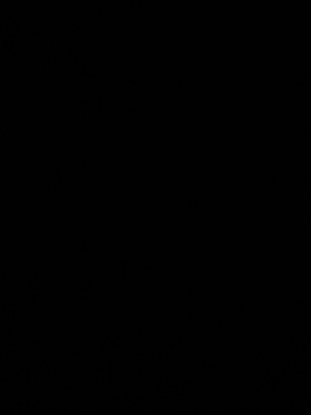brandonallen OnlyFans profile picture