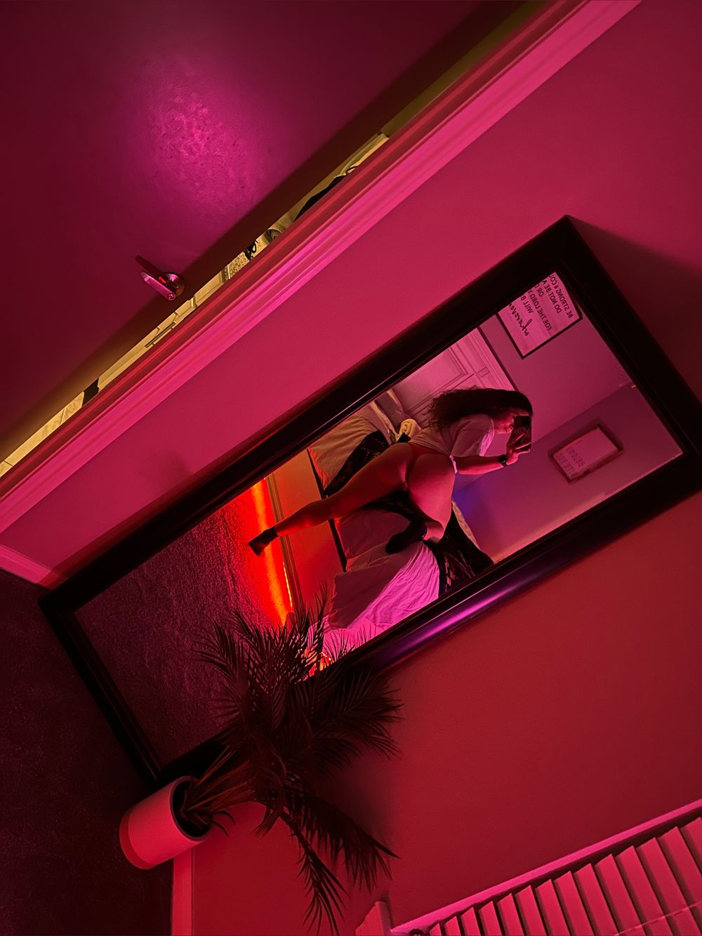 lolobunnyy OnlyFans profile picture