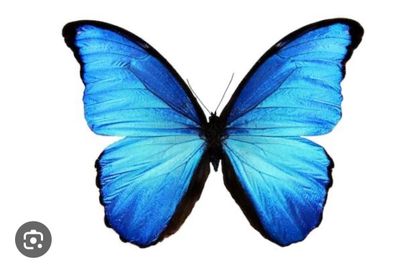 u174701986 OnlyFans picture