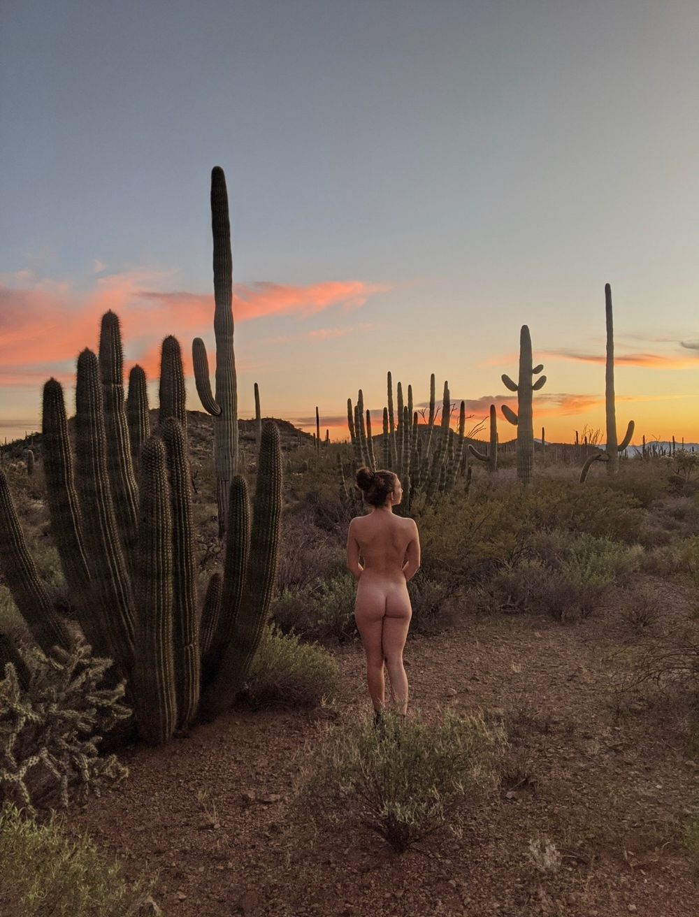 arijune OnlyFans profile picture
