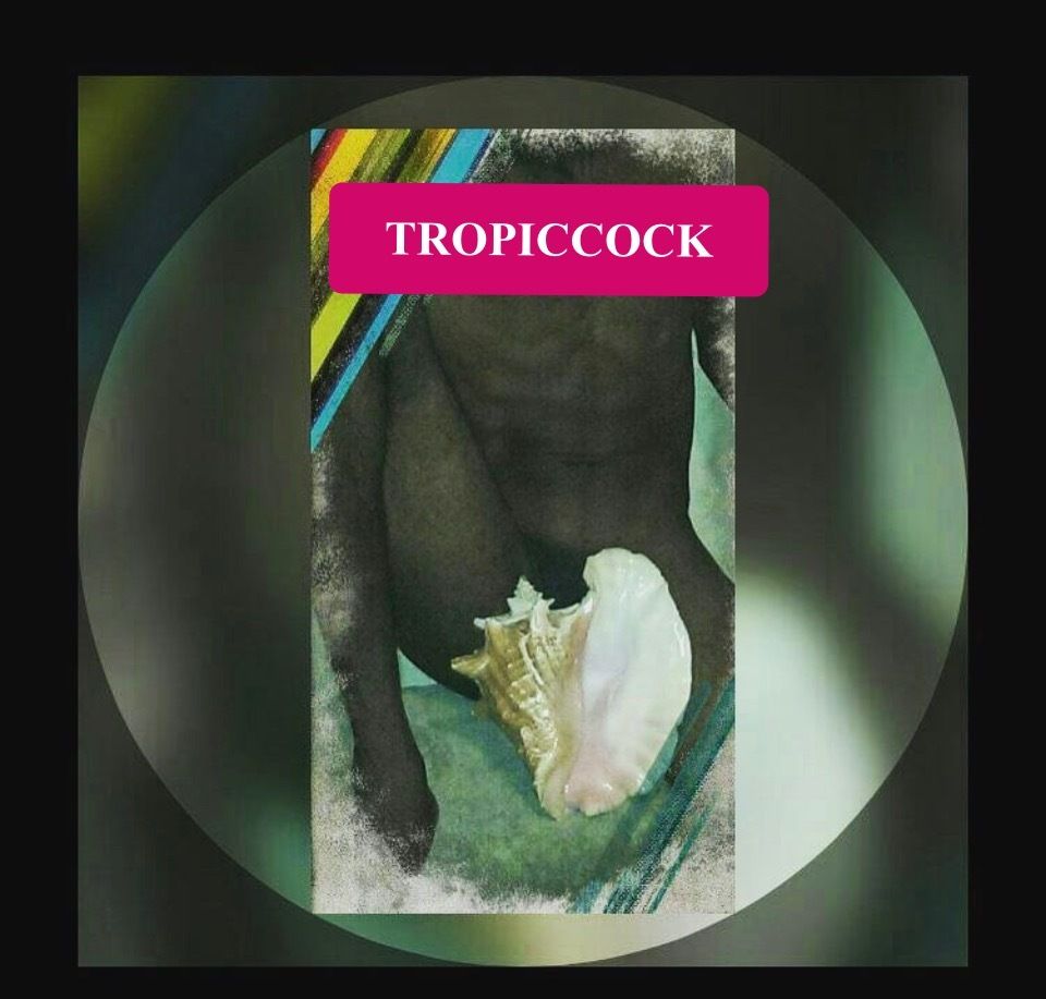tropiccock305649 OnlyFans profile picture