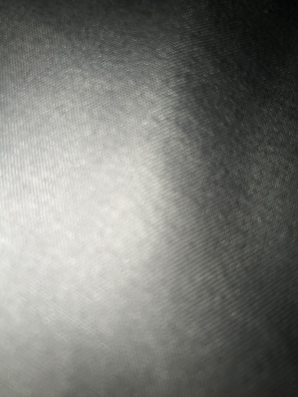 theshyvirgo OnlyFans profile picture