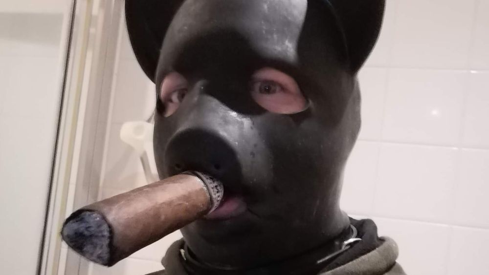 rubbercigarpig OnlyFans profile picture