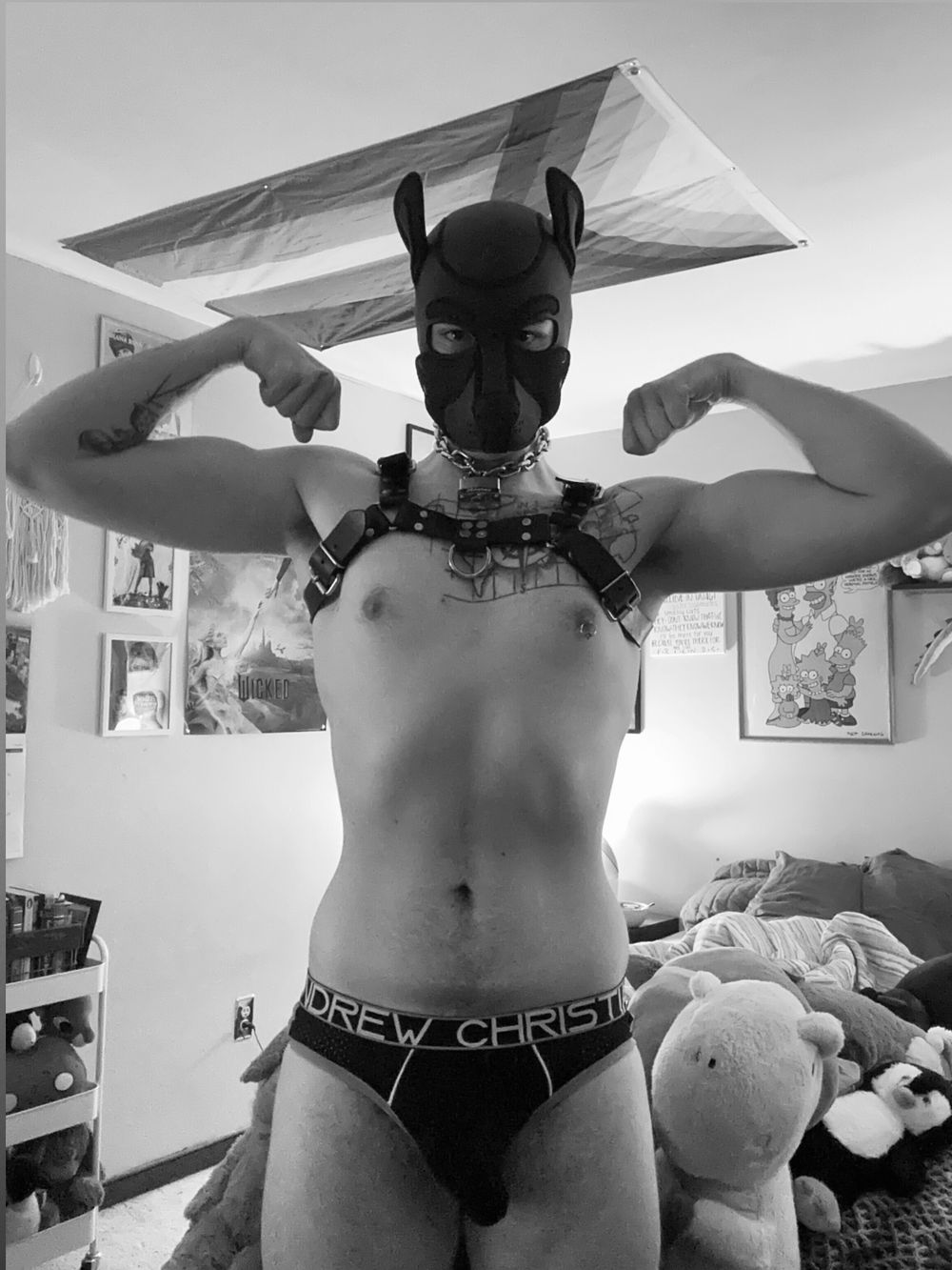 braxton_archer OnlyFans profile picture