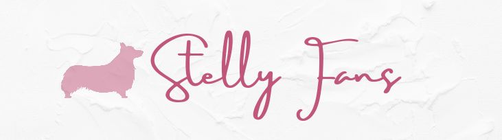 stellyfans OnlyFans profile picture