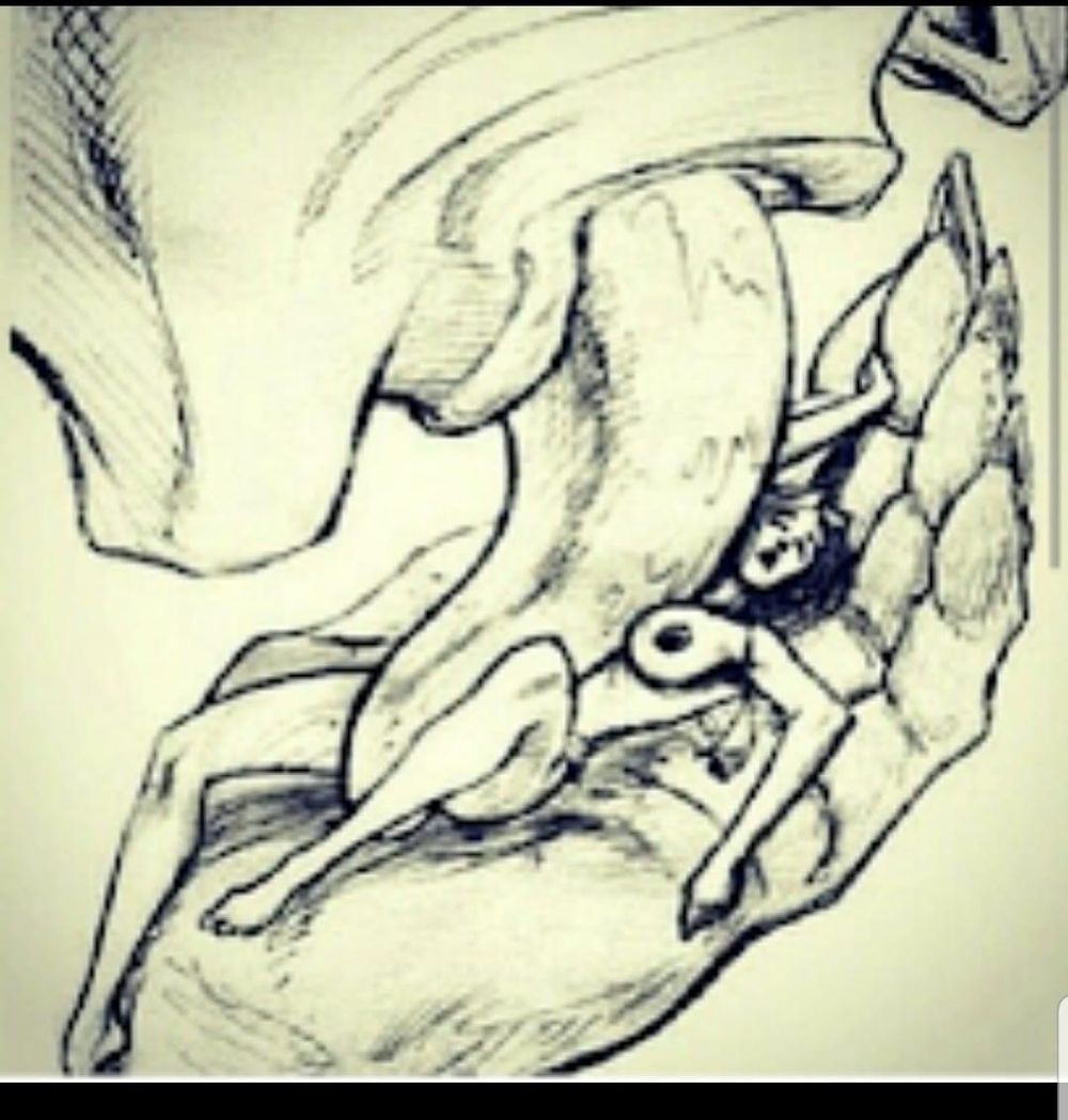savage_skb OnlyFans profile picture