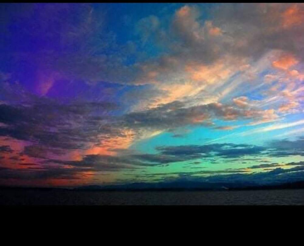 wolfme OnlyFans profile picture