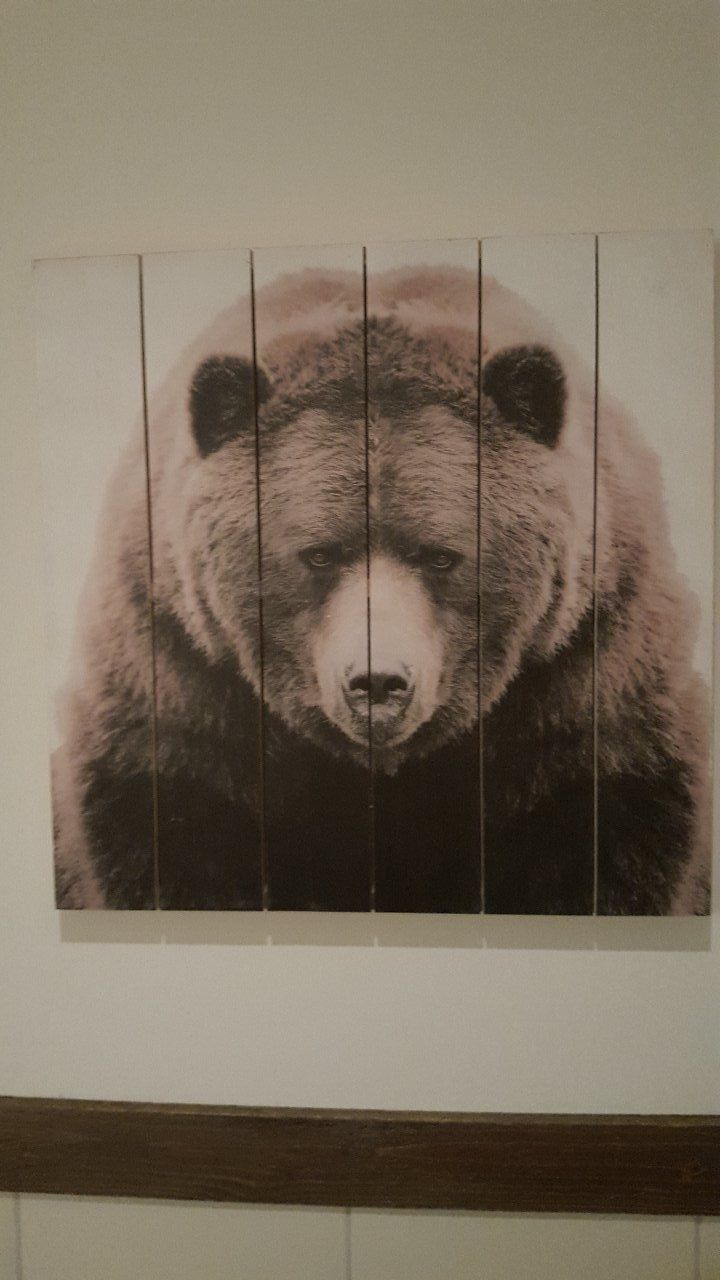 chefteadybear OnlyFans profile picture