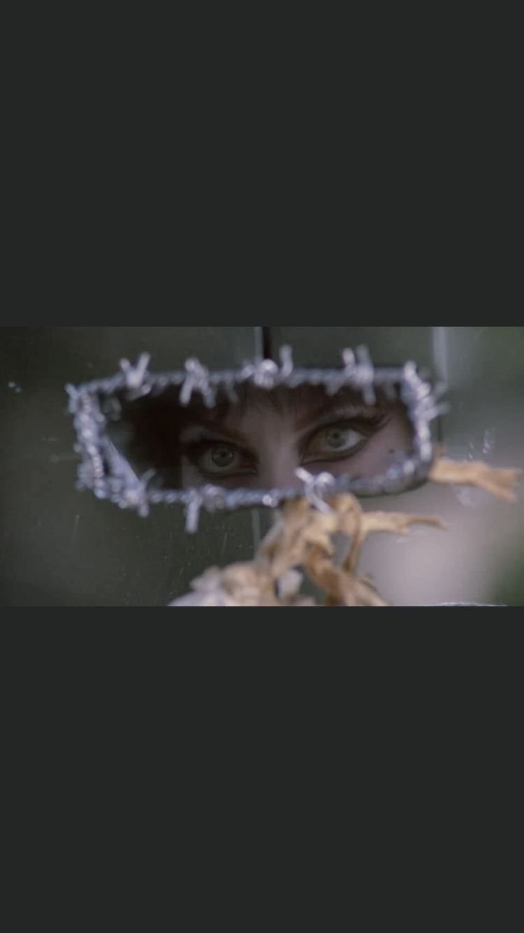 trashw1tch OnlyFans profile picture