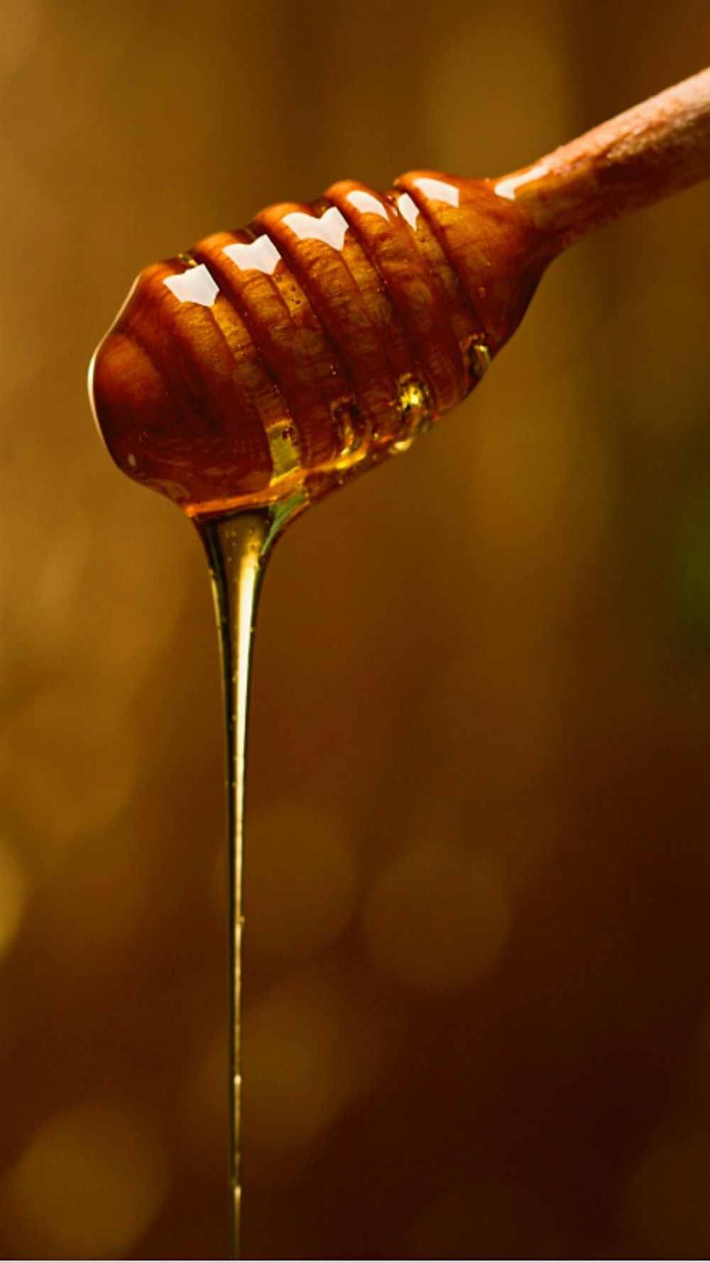 honeyhunncho OnlyFans profile picture