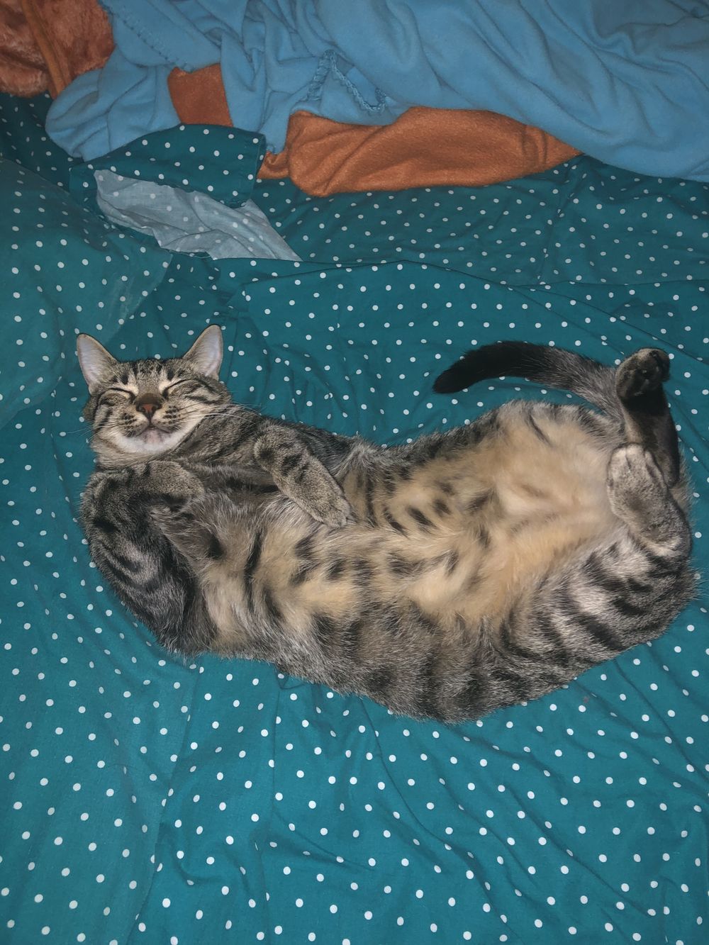 collegekitty OnlyFans profile picture