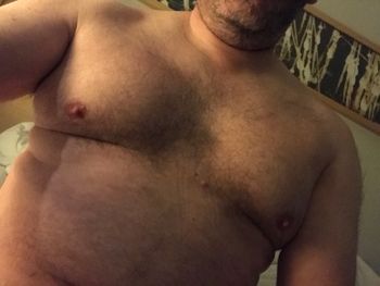 Bear Show