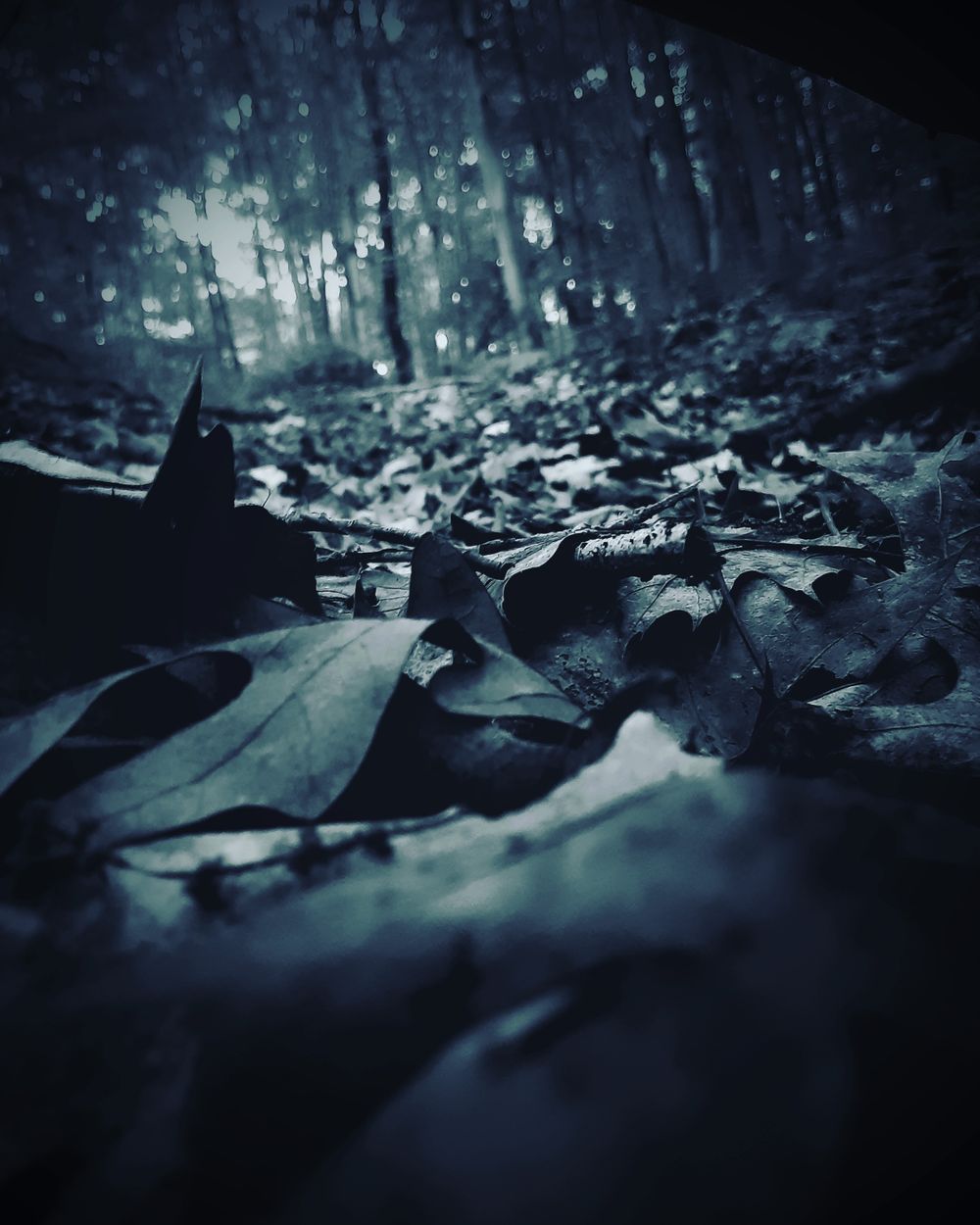 sexy_venom OnlyFans profile picture