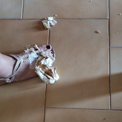 swisscooker OnlyFans picture