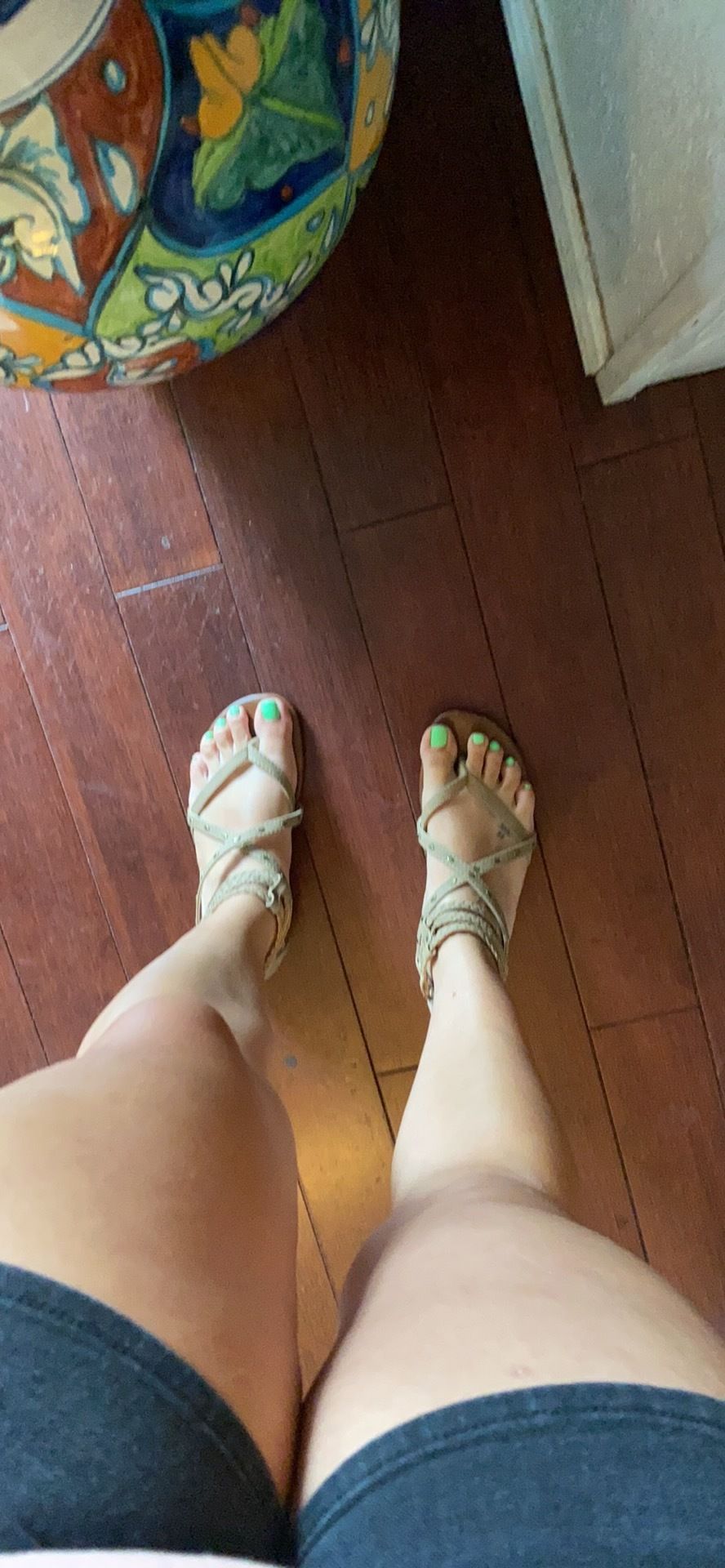 pandacutefeet OnlyFans profile picture