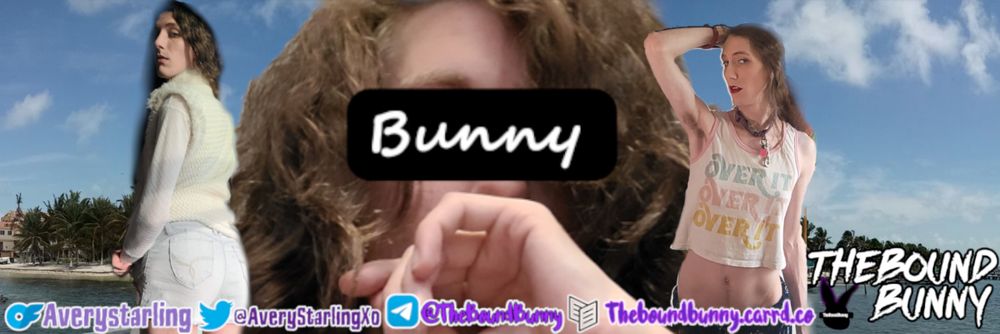 theboundbunny OnlyFans profile picture