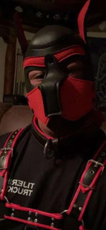 eldercam OnlyFans picture