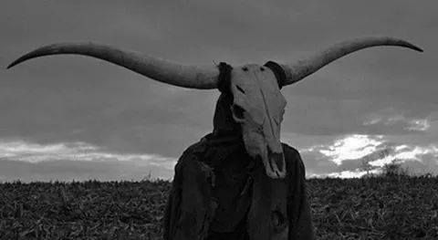 alicia_wonderland OnlyFans - Stats, Graphs, Photos & Profile