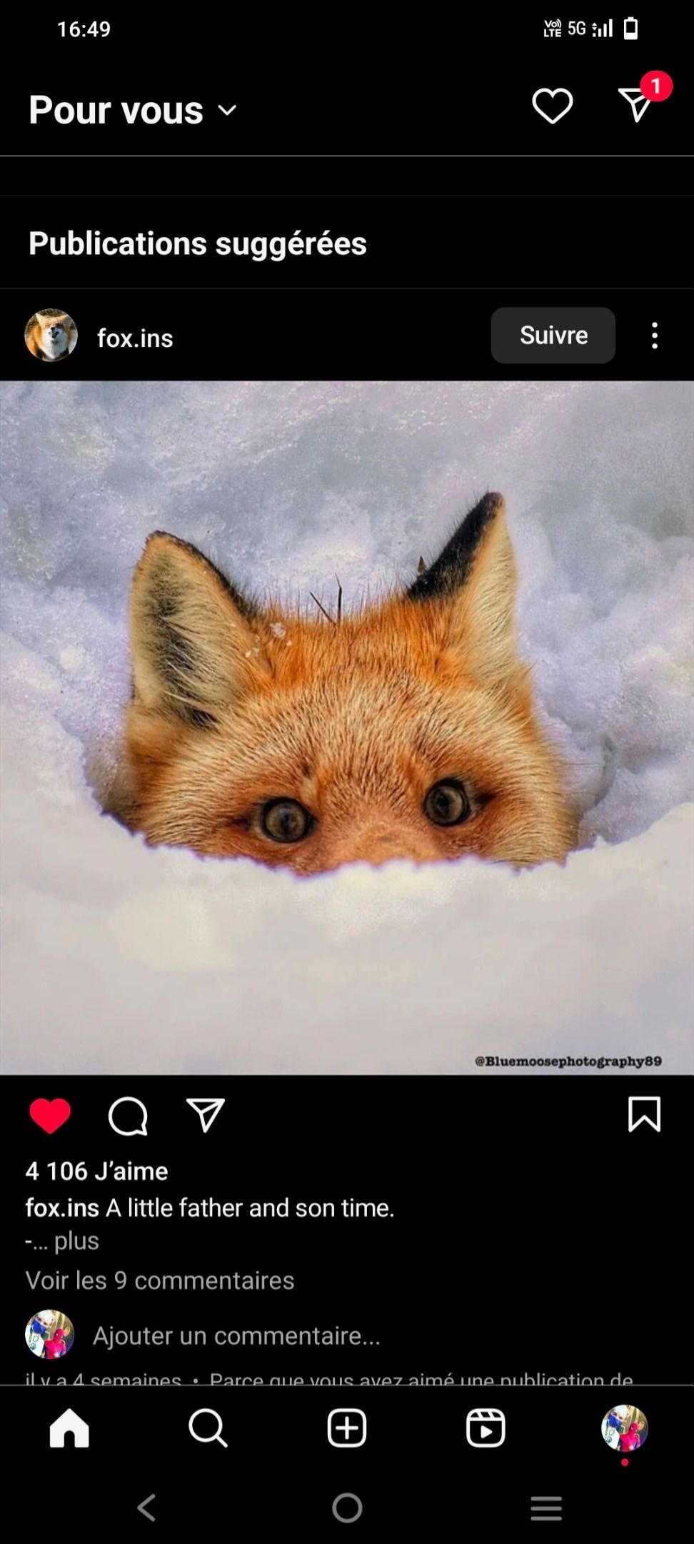 rawrfox OnlyFans profile picture