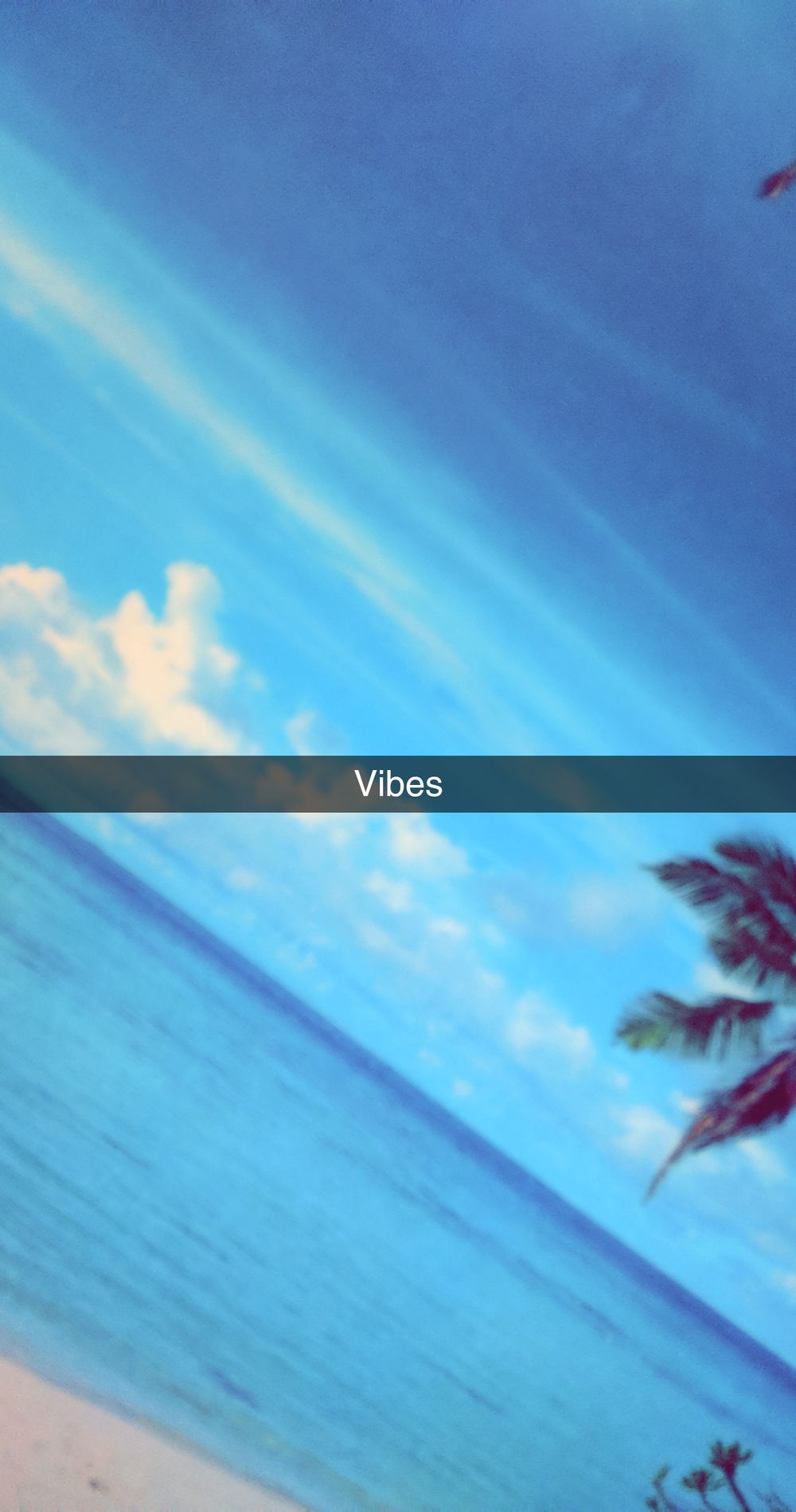 islandboyy OnlyFans profile picture