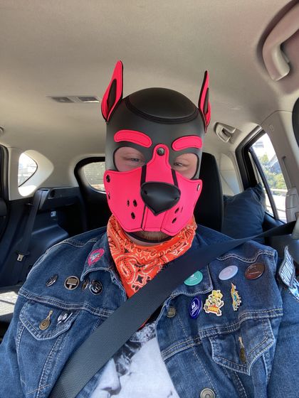 paddsthepuppy OnlyFans picture