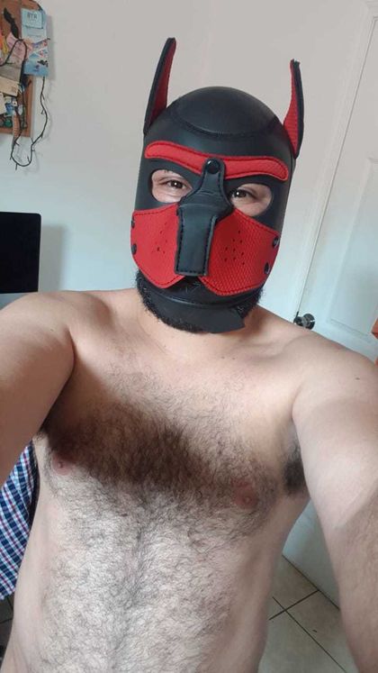 mrgamewatch12 OnlyFans picture