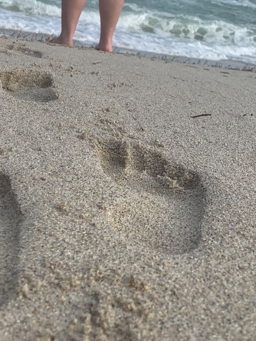 smalltoes123 OnlyFans profile picture