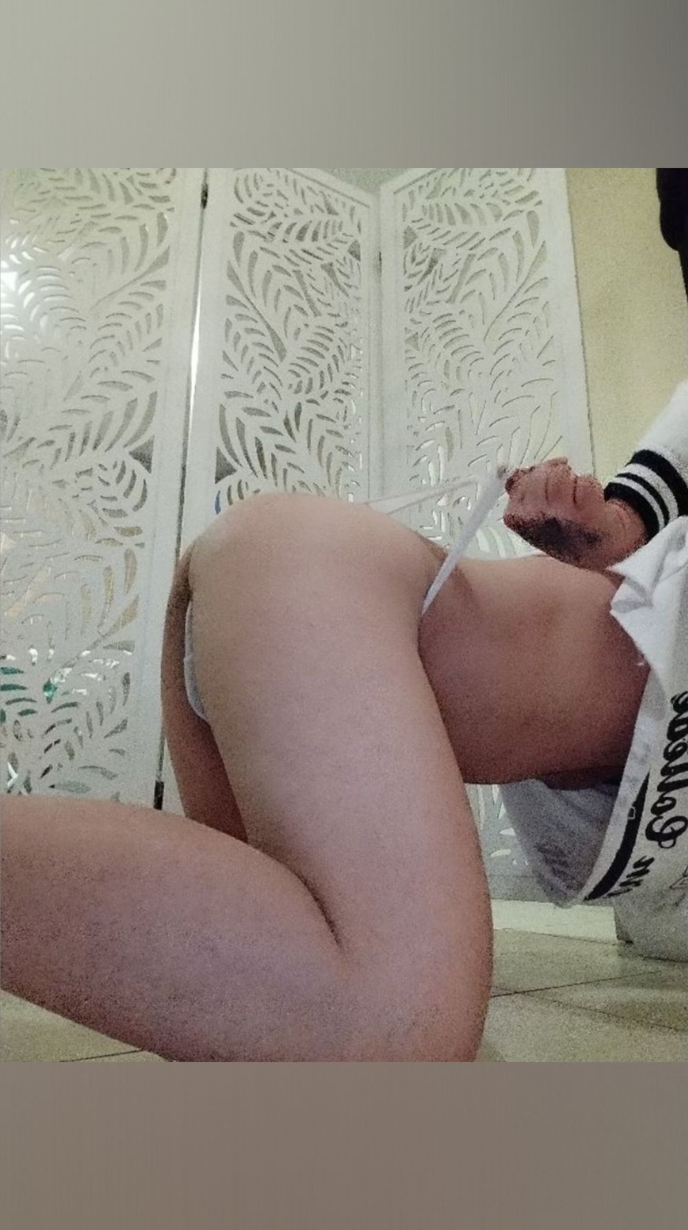 gato-pistola OnlyFans profile picture