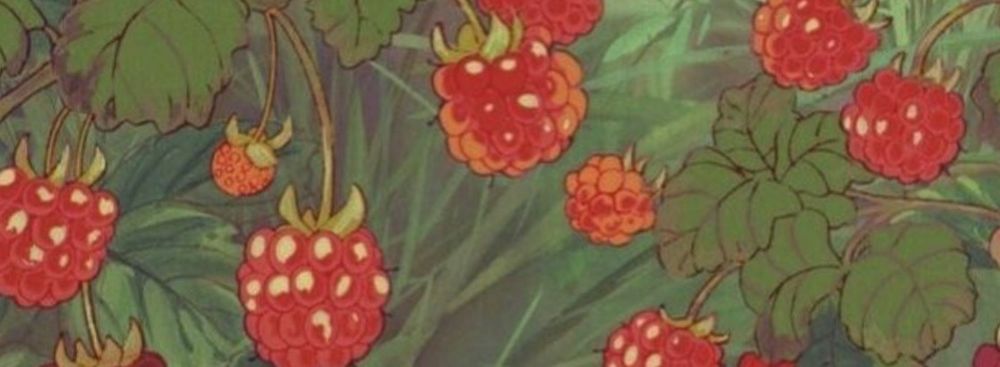 pastelmaeflowers OnlyFans profile picture