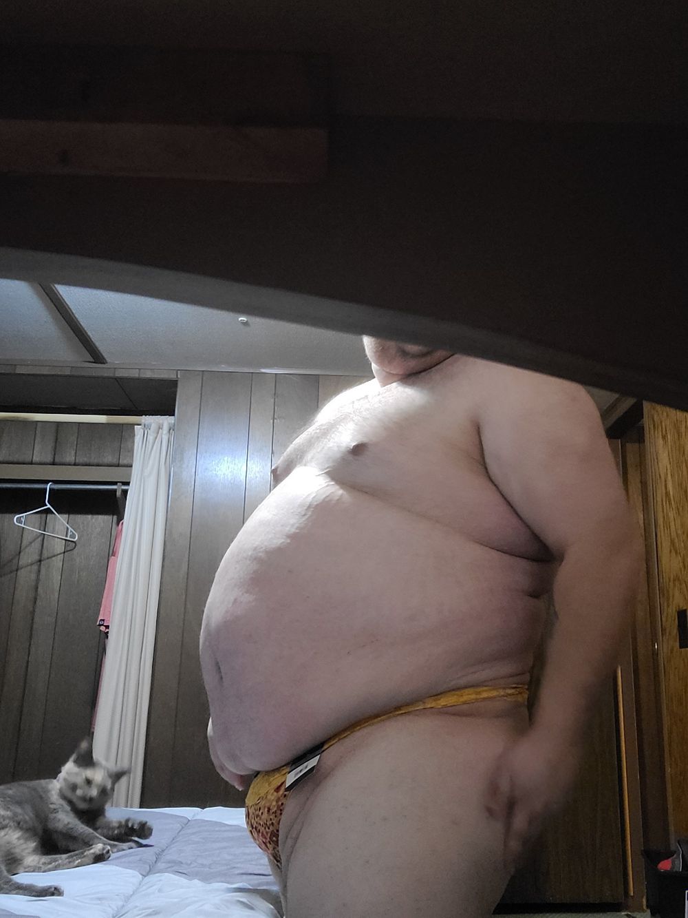 bjfmaster OnlyFans profile picture