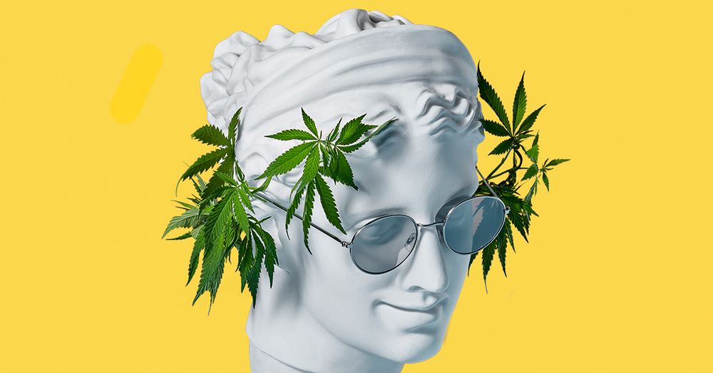 kush_society OnlyFans profile picture