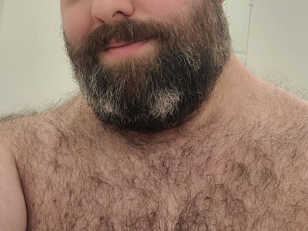 a-beefybear OnlyFans profile picture