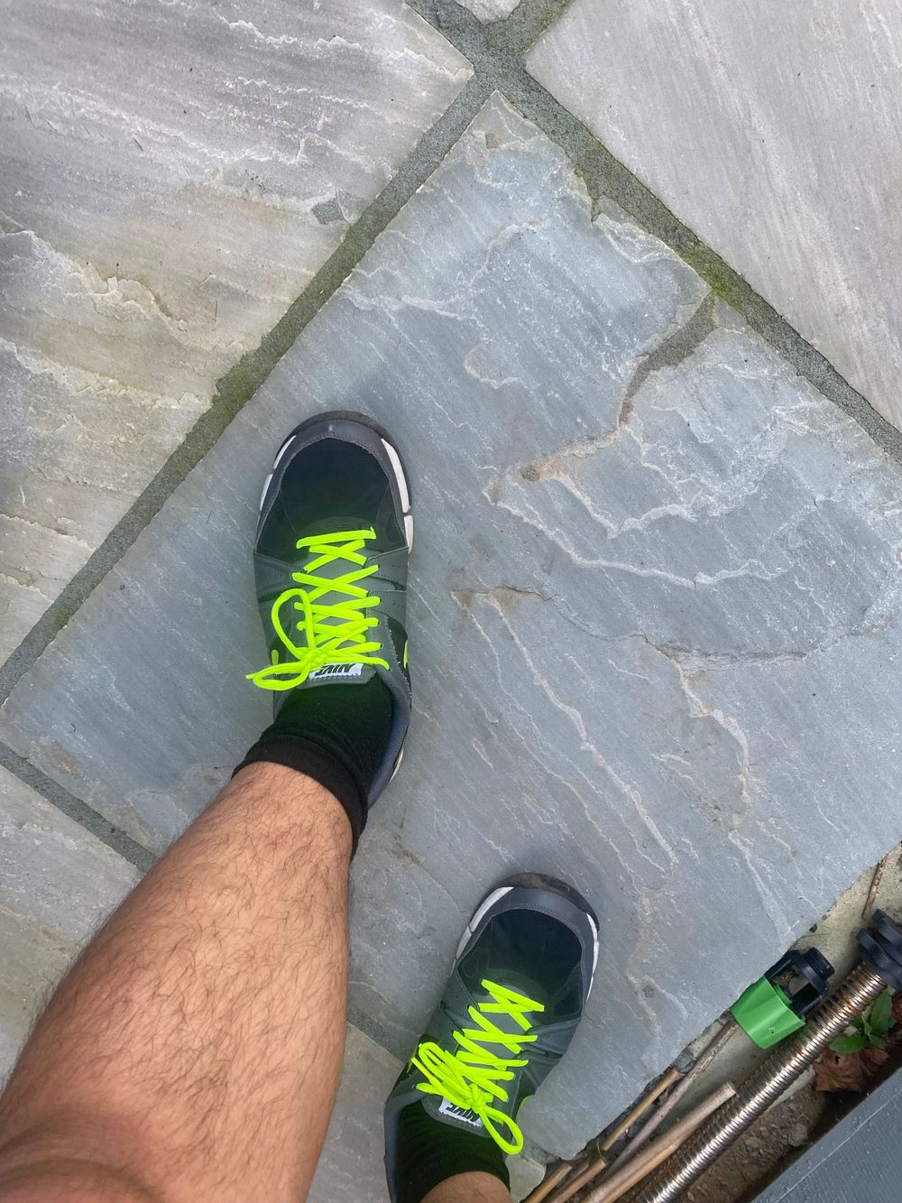 joewiththecalf OnlyFans profile picture
