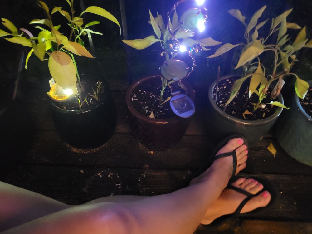 sammisexifeet OnlyFans profile picture